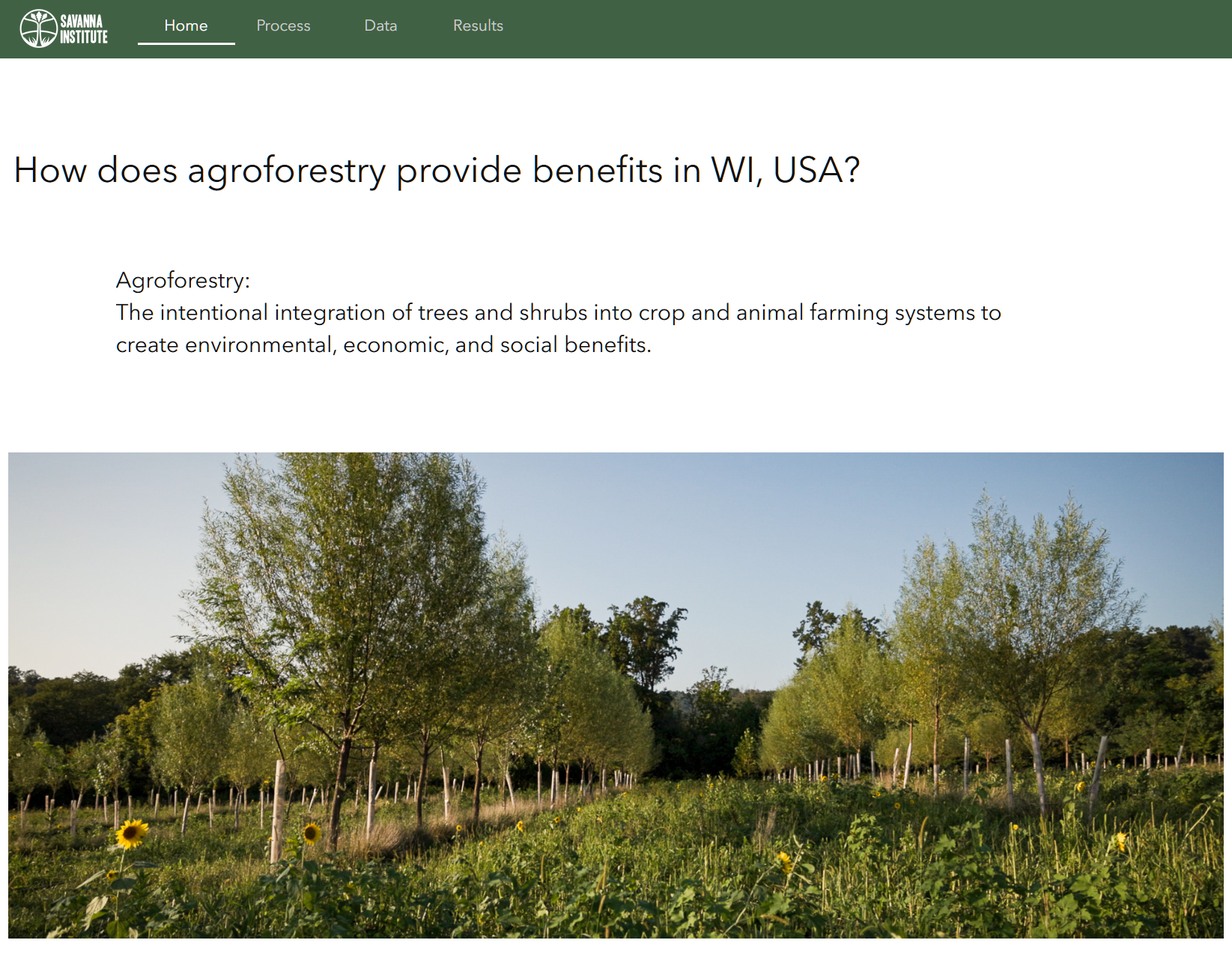 A website with a header and four pages titled Home, Process, Data, and and Results, that currently is one the home page. There is a title that reads "How does agroforestry provide benefits in WI, USA?" and a picture of trees planted in rows.