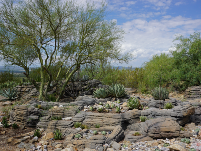 View of Agave Garden