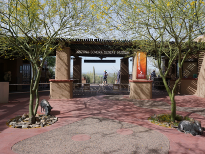 View of Desert Museum Entrance